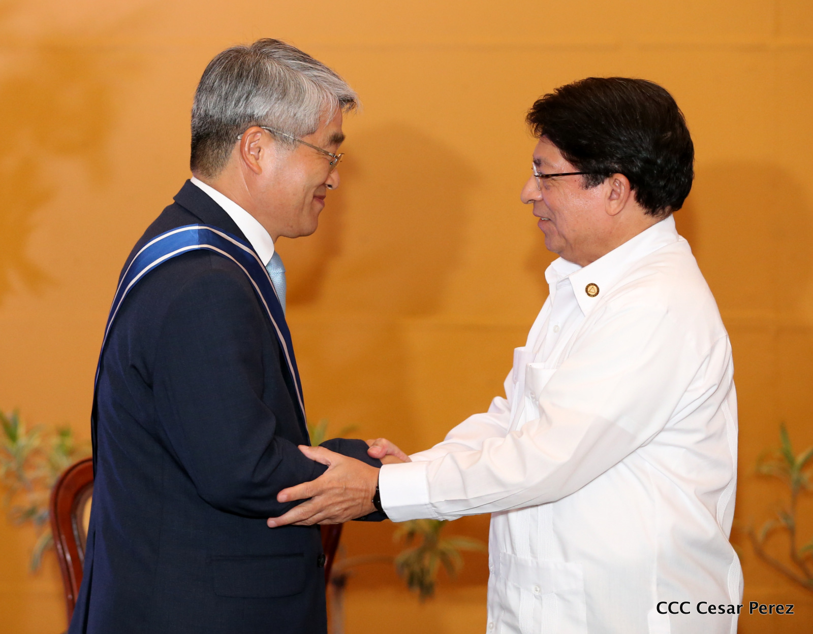 COREA1